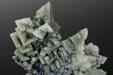 Skeletal Halite Crystals with Tolbachite - Poland #175419-1